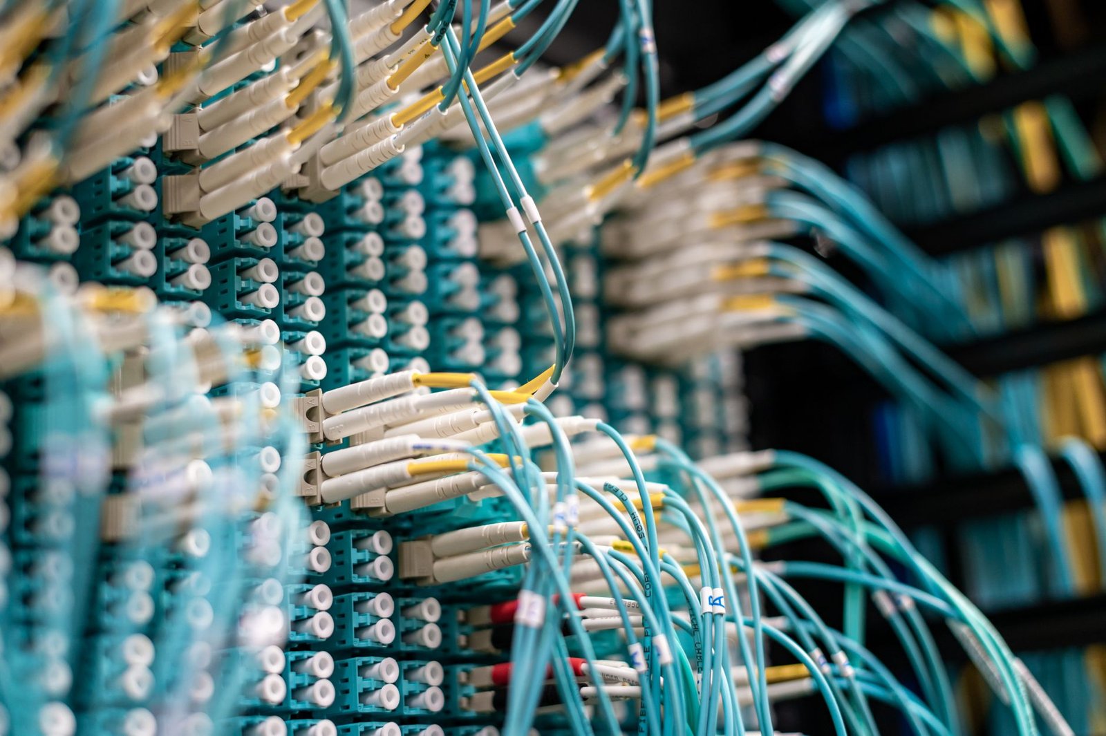 Network cables connected to a server, representing reverse proxy routing on a VPS